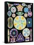 Art of Diatom Algae (from Ernst Haeckel)-null-Framed Stretched Canvas