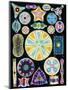 Art of Diatom Algae (from Ernst Haeckel)-null-Mounted Premium Photographic Print