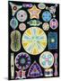 Art of Diatom Algae (from Ernst Haeckel)-null-Mounted Premium Photographic Print