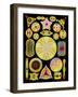 Art of Diatom Algae (from Ernst Haeckel)-Mehau Kulyk-Framed Photographic Print