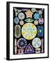 Art of Diatom Algae (from Ernst Haeckel)-null-Framed Photographic Print