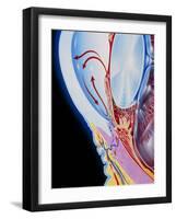 Art of Section Through Human Eye Showing Glaucoma-John Bavosi-Framed Photographic Print