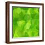 Brown Frame