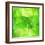 Brown Frame