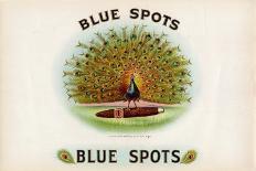 Blue Spots-Art Of The Cigar-Giclee Print