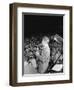 Art Pepper, c.1947-William Paul Gottlieb-Framed Photographic Print