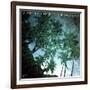 Art Pepper - Landscape-null-Framed Art Print