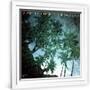 Gramercy White