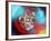 Art Representing a Beryllium Atom-Mehau Kulyk-Framed Photographic Print