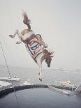 American Sprinter Edith Mcguire at Tokyo 1964 Summer Olympics, Japan-Art Rickerby-Photographic Print