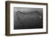 Art Smith's Plane in Remarkable Flight-null-Framed Photographic Print