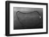 Art Smith's Plane in Remarkable Flight-null-Framed Photographic Print