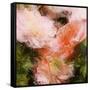 Art Vintage Floral Blurred Background with Pink Peonies in Garden-Irina QQQ-Framed Stretched Canvas