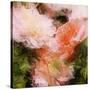 Art Vintage Floral Blurred Background with Pink Peonies in Garden-Irina QQQ-Stretched Canvas