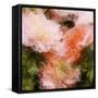 Art Vintage Floral Blurred Background with Pink Peonies in Garden-Irina QQQ-Framed Stretched Canvas