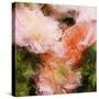 Art Vintage Floral Blurred Background with Pink Peonies in Garden-Irina QQQ-Stretched Canvas