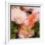 Art Vintage Floral Blurred Background with Pink Peonies in Garden-Irina QQQ-Framed Art Print