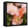 Art Vintage Floral Blurred Background with Pink Peonies in Garden-Irina QQQ-Framed Stretched Canvas