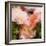 Art Vintage Floral Blurred Background with Pink Peonies in Garden-Irina QQQ-Framed Art Print