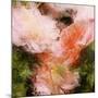 Art Vintage Floral Blurred Background with Pink Peonies in Garden-Irina QQQ-Mounted Art Print
