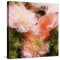 Art Vintage Floral Blurred Background with Pink Peonies in Garden-Irina QQQ-Stretched Canvas