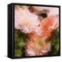 Art Vintage Floral Blurred Background with Pink Peonies in Garden-Irina QQQ-Framed Stretched Canvas