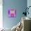 Art Vintage Geometric Ornamental Pattern, Blur Background in Lilac and Pink Colors-Irina QQQ-Mounted Art Print displayed on a wall