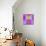 Art Vintage Geometric Ornamental Pattern, Blur Background in Lilac and Pink Colors-Irina QQQ-Mounted Art Print displayed on a wall