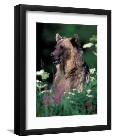 Premium Photographic Print, , large