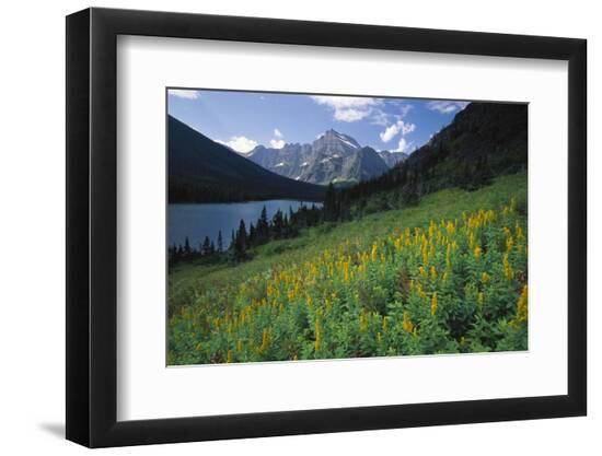 Premium Photographic Print, , large