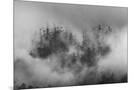 Wood Mount