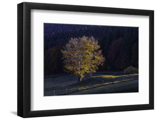 Premium Photographic Print, , large