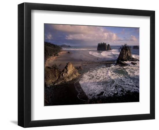 Premium Photographic Print, , large