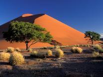 Desert Walk-Art Wolfe-Photographic Print