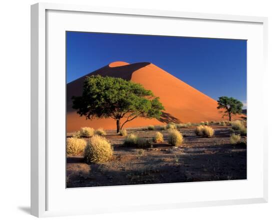 Framed Photographic Print, , large