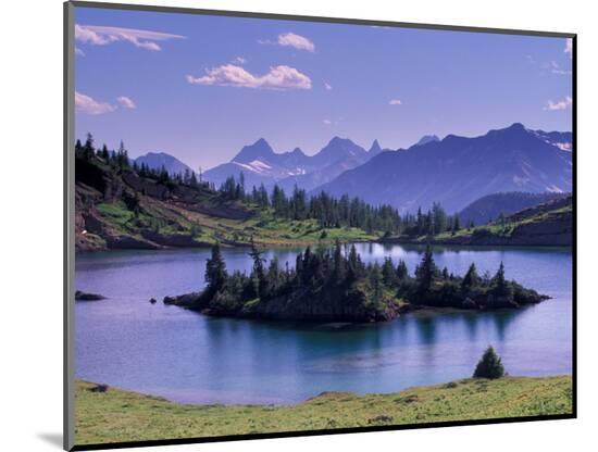 Photographic Print, , large