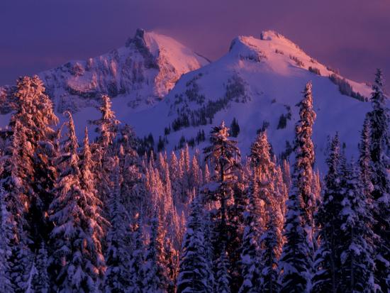 Premium Photographic Print, , large