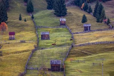 Pastures, Bucovina, Romania
