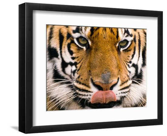 Premium Photographic Print, , large