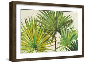 Arte Verde II-Patricia Pinto-Framed Art Print