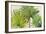 Arte Verde II-Patricia Pinto-Framed Art Print