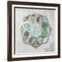 Artefact II-Tom Reeves-Framed Art Print