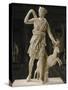 Artémis de Versailles, Diane chasseresse accompagnée d'une biche-null-Stretched Canvas