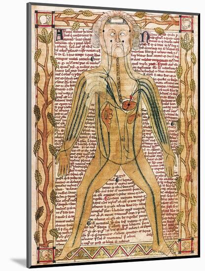 Arterial and Venous System, 'Treatise on the Human Body' 1292-null-Mounted Art Print