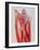 Arterial Bypass-John Bavosi-Framed Photographic Print