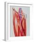 Arterial Bypass-John Bavosi-Framed Photographic Print