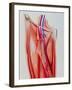 Arterial Bypass-John Bavosi-Framed Photographic Print