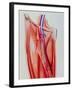 Arterial Bypass-John Bavosi-Framed Photographic Print