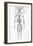 Arterial System, 18th Century-Science Photo Library-Framed Photographic Print