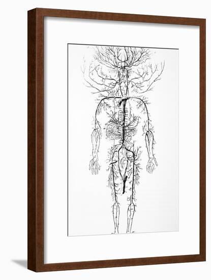 Arterial System, 18th Century-Science Photo Library-Framed Photographic Print